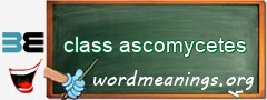 WordMeaning blackboard for class ascomycetes